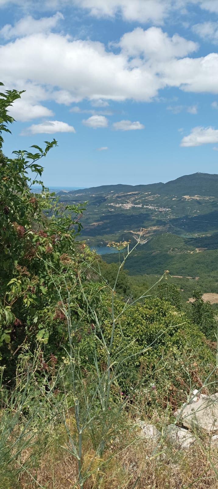 The sea, the lake and the vegetation from Buonanotte