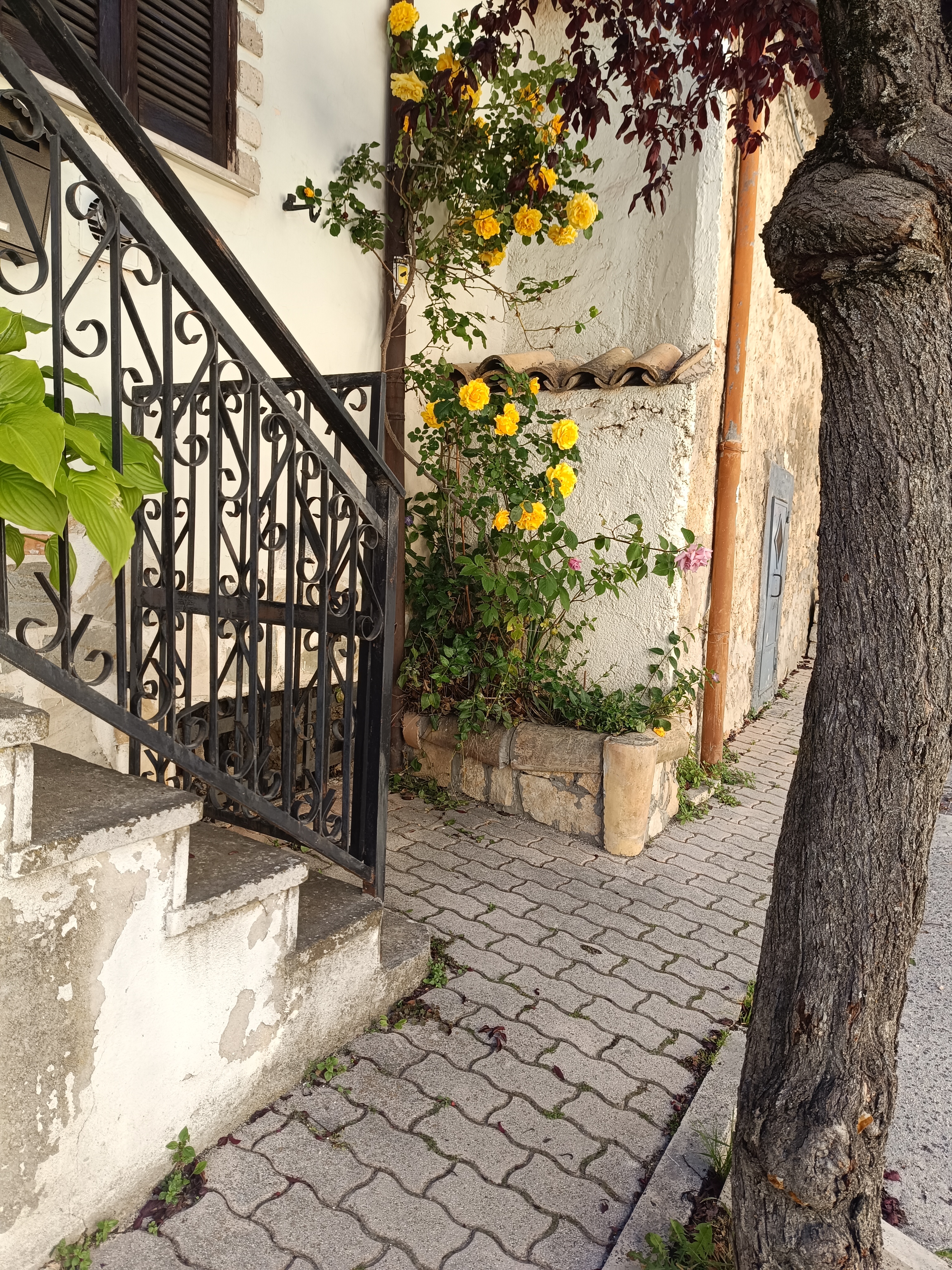 Small houses along the alleyways of Aielli