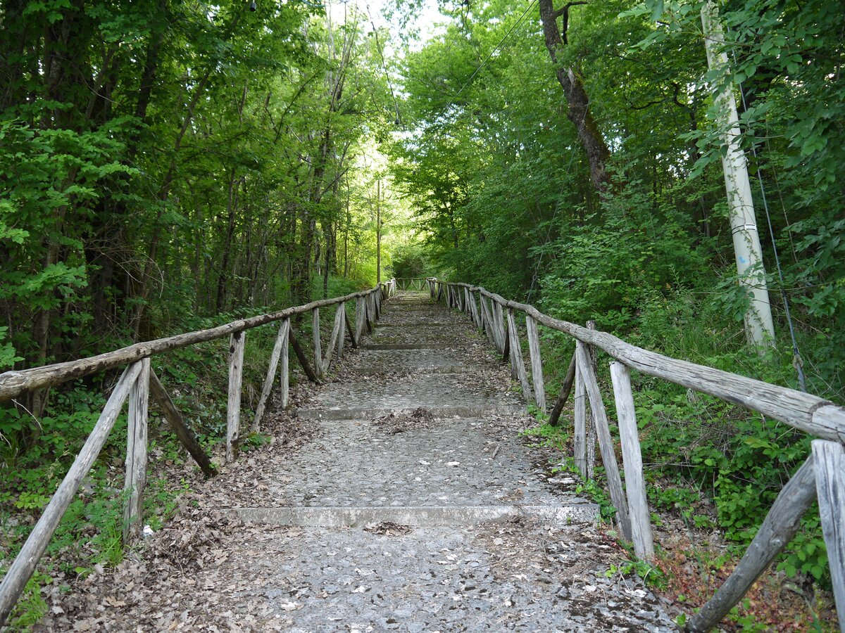 A wooded trail in the Valle Roveto