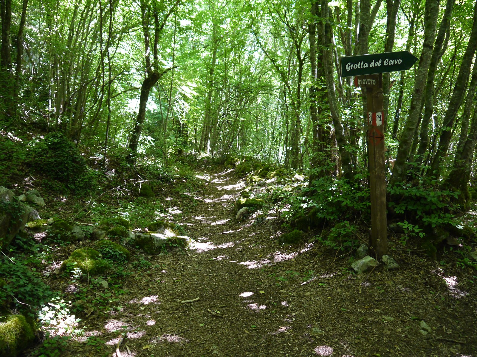 Signpost reading Grotta del Cervo along the forest path