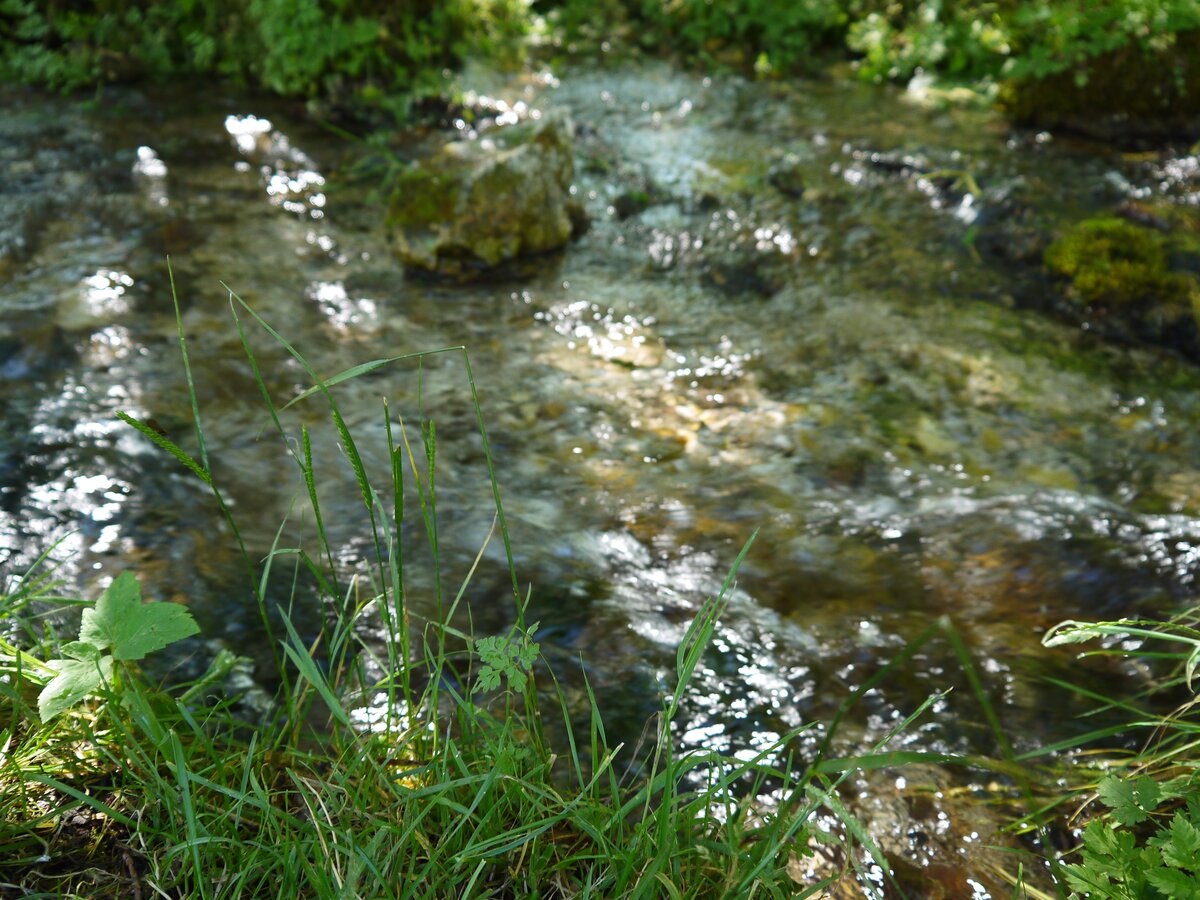 Clear stream flowing over stones at Parco della Sponga