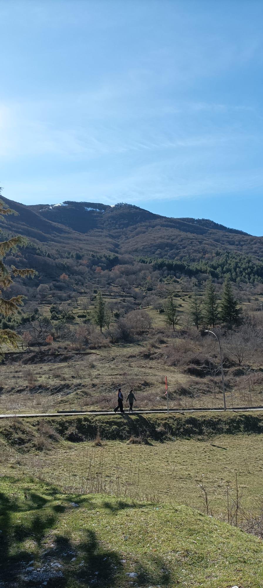 Mountain road alongside the hillside that is home to fallow deer, people walking quietly, Villalago, Abruzzo